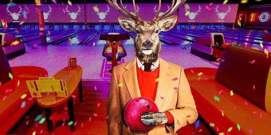deer with bowling ball