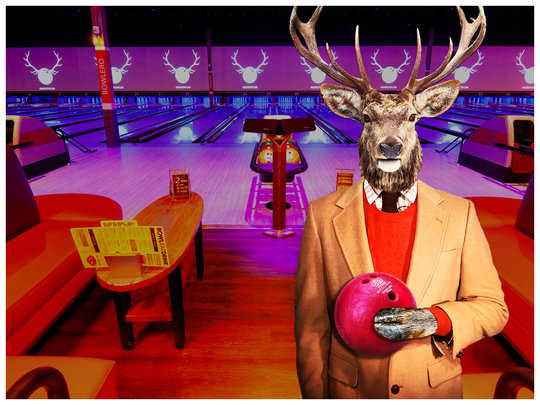 deer with bowling ball