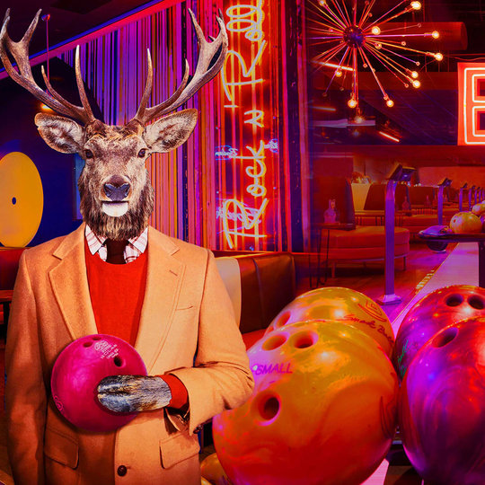 deer with bowling balls